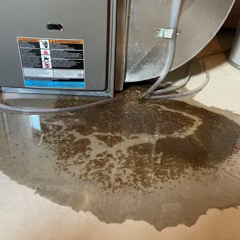 Appliance Leak Cleanup in Eglin Air Force Base, FL